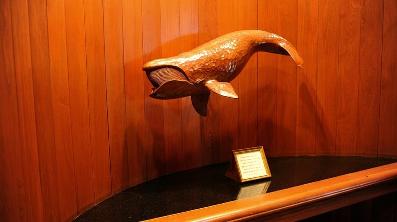 A large, textured wooden whale sculpture hangs on a paneled wooden wall above a dark counter.