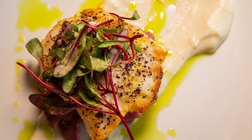 Pan-seared fish with fresh greens, red sprouts, and a creamy sauce drizzled with olive oil.